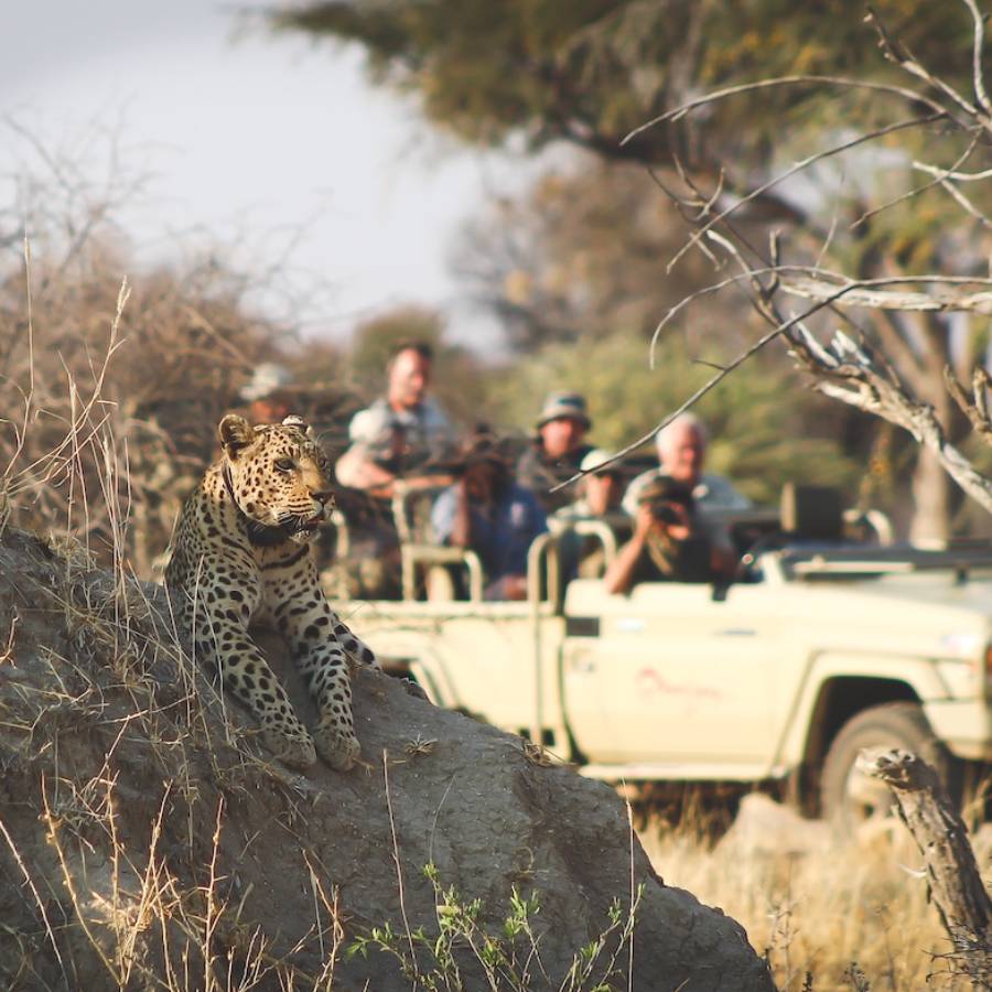 Tailor Made South Africa Luxury Tours
