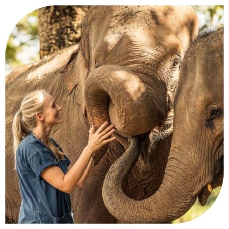 Woman with Elephant in Custom Luxury Trips